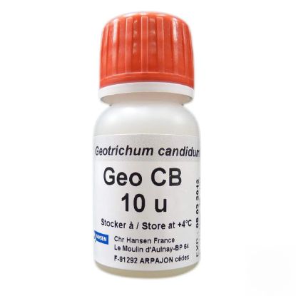 I200CCH0040_1.jpg